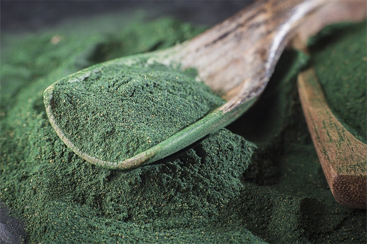 spirulina